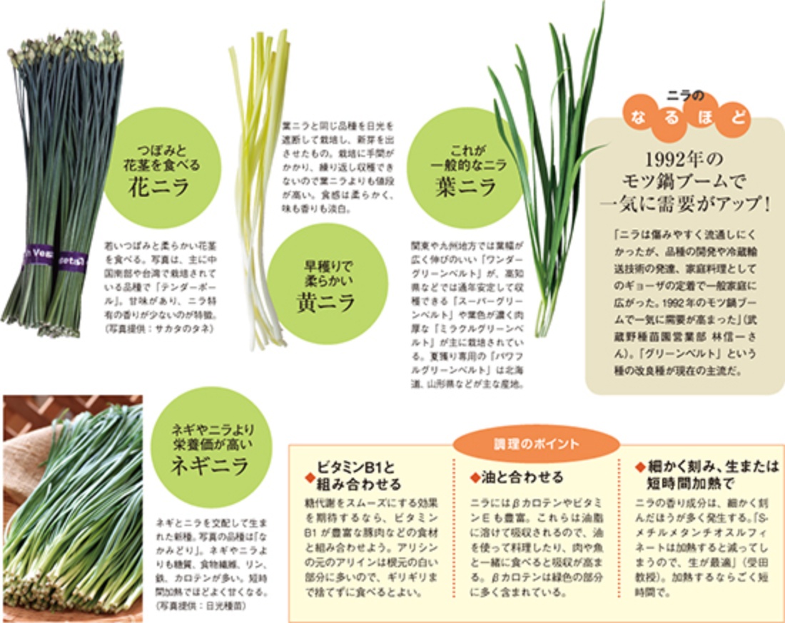 ブロッコリースプラウトの効果と真実｜正しい食べ方と注意点を検証