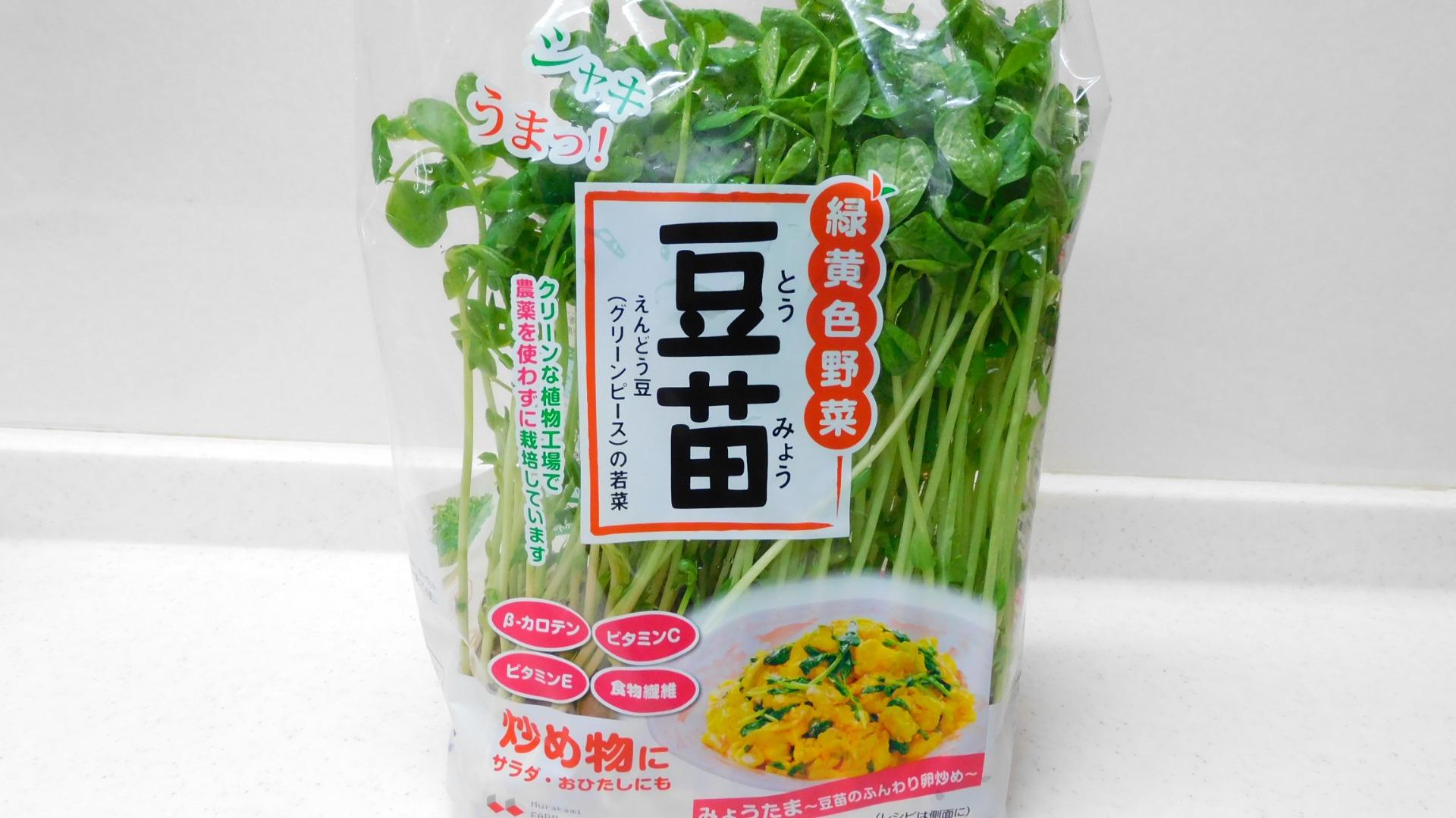 豆苗の栄養は本当にほうれん草超え？プロが教える損しない食べ方と再収穫の真実