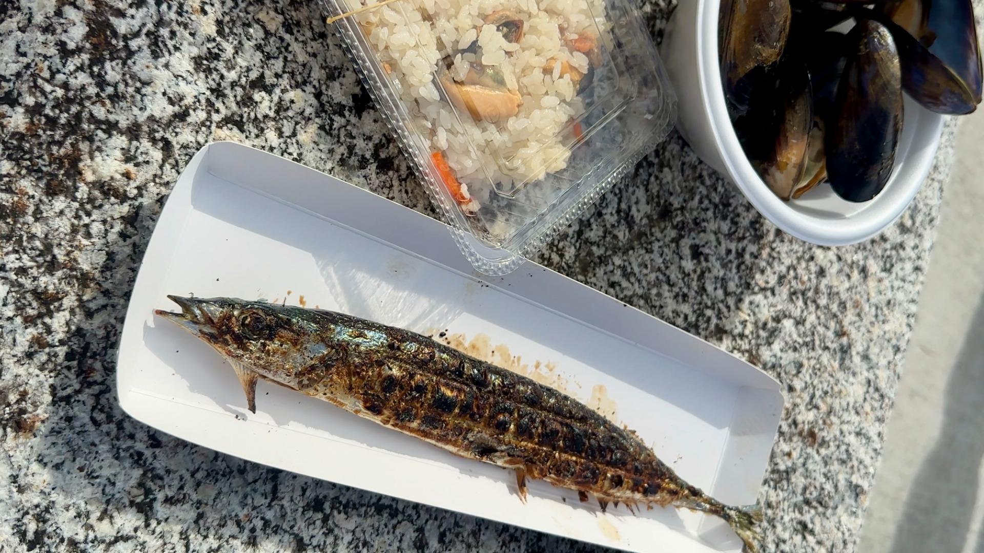 高騰するサンマの衝撃！中国の大量漁獲と激変する水産資源の未来