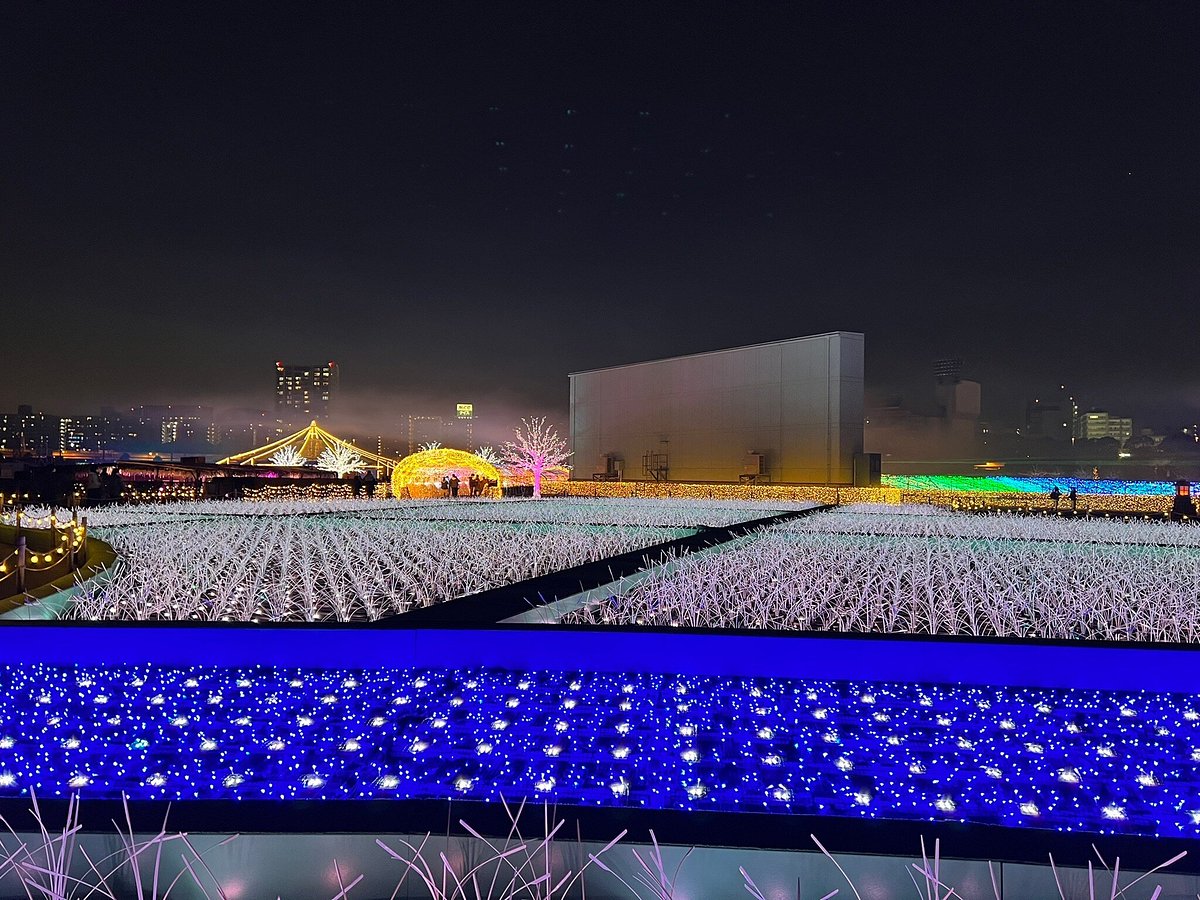 東京メガイルミ2026の混雑と評判の真相！割引裏技＆雨の楽しみ方