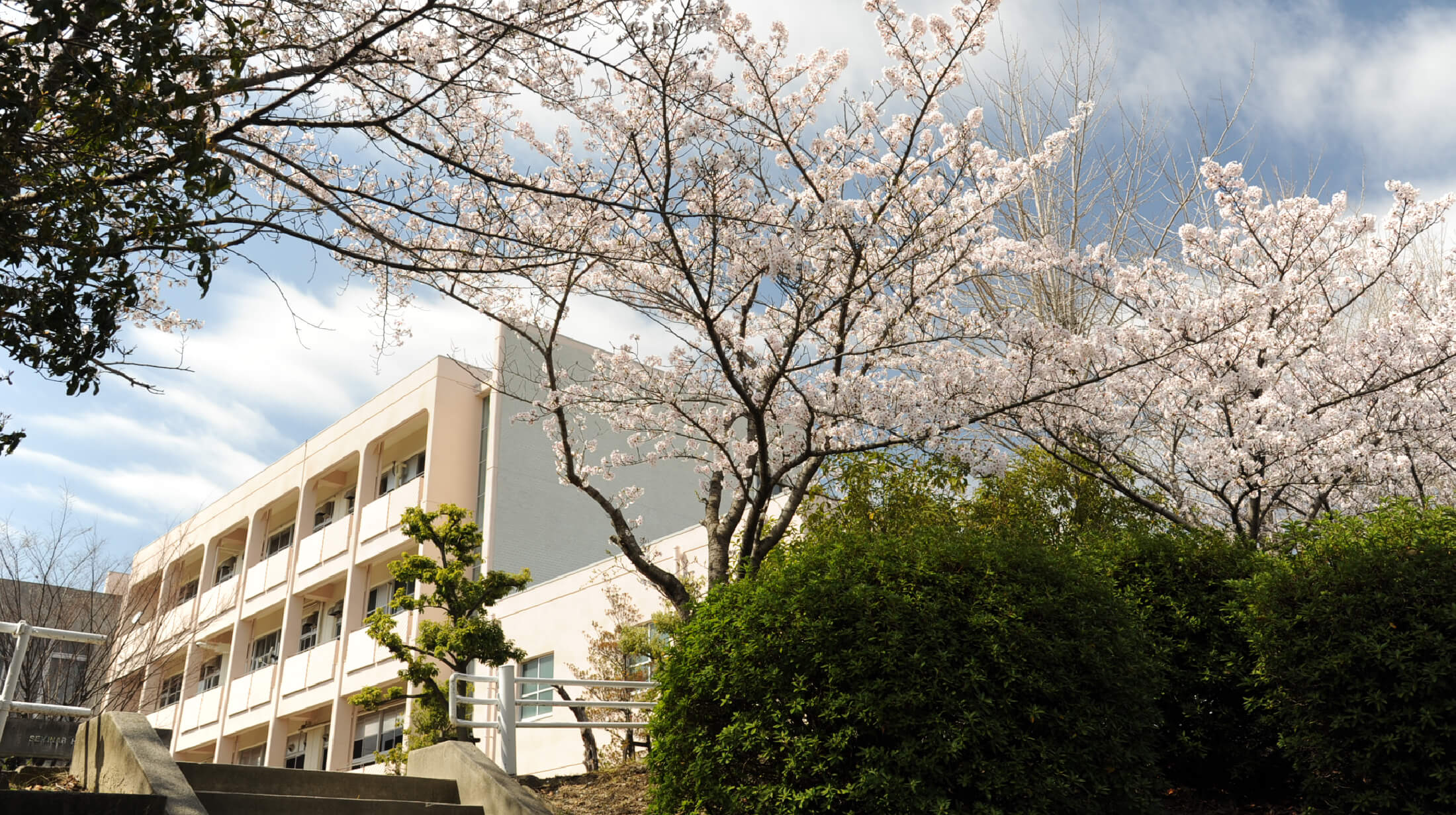 大阪府立千里高校の真実！自由すぎる校風と偏差値・進学実績のリアル