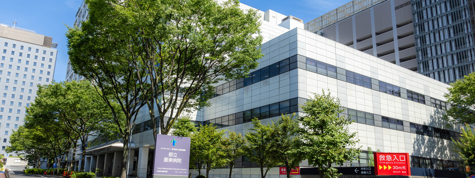 墨東病院の評判と待ち時間の真相！紹介状なし受診や最新体制を徹底検証