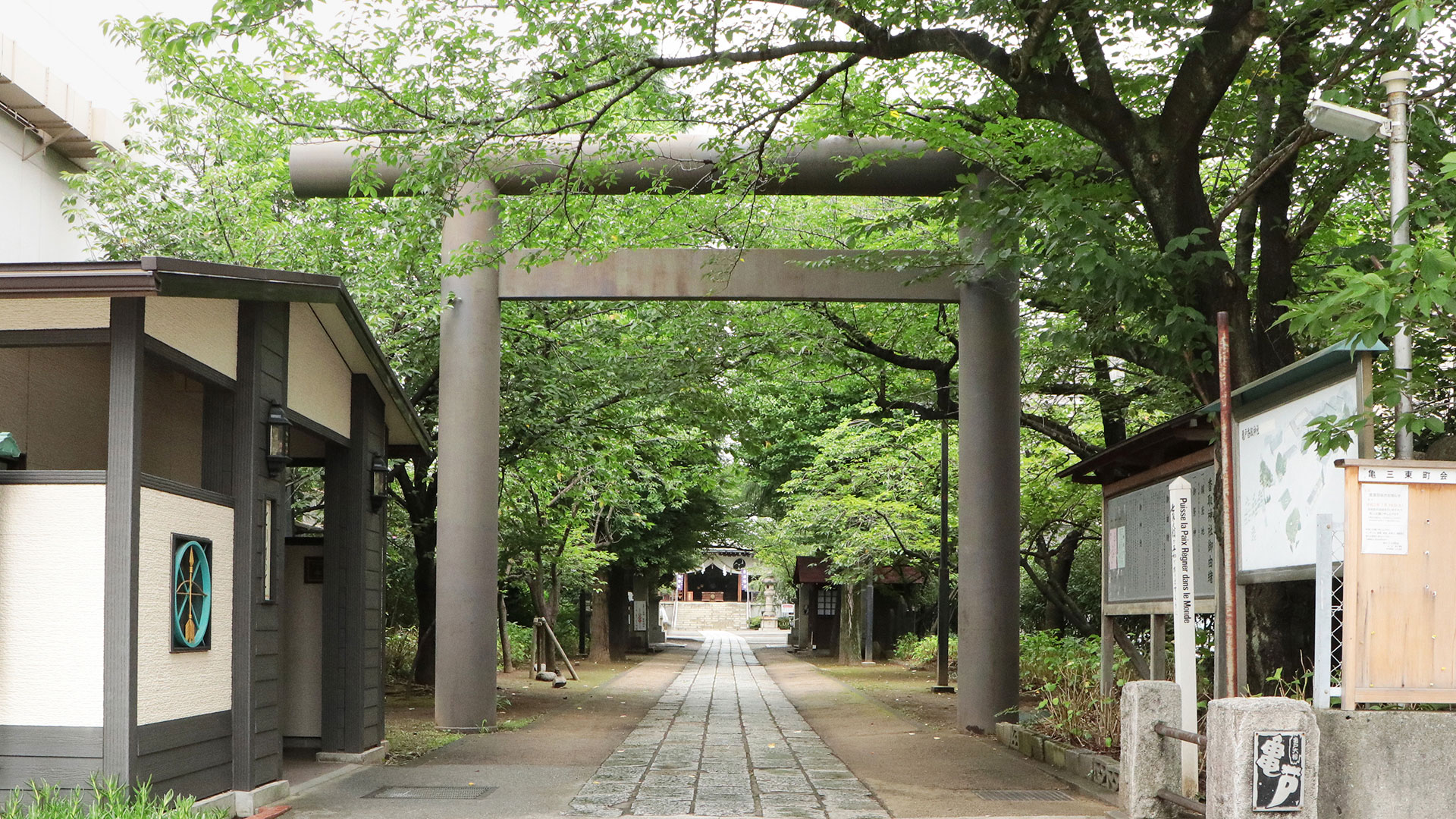 亀戸香取神社がスポーツの神様と呼ばれる理由｜勝守と勝運ご利益の真相【2026】