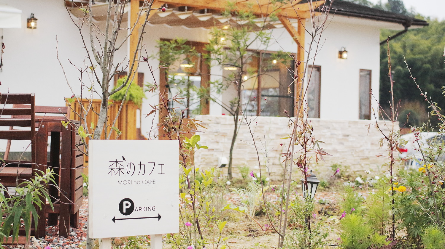 なぜ人は森のカフェに癒やしを求めるのか？2026年最新の隠れ家と絶景