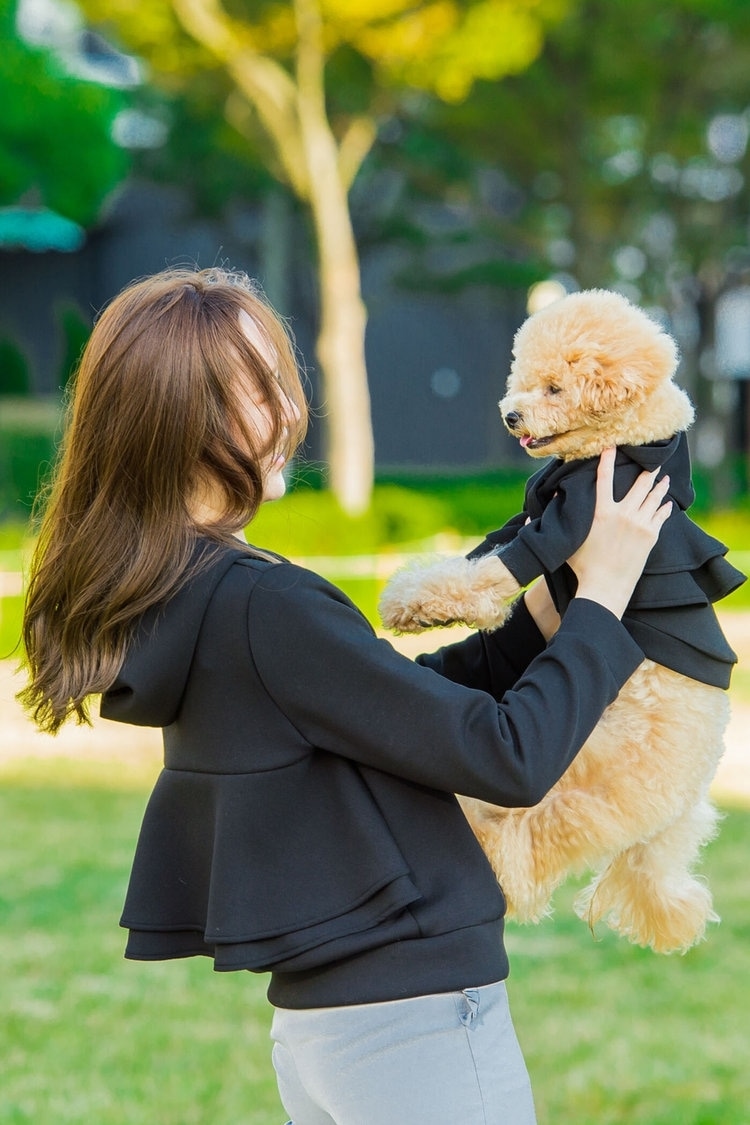 愛犬とお揃いの服で出かけよう！2026年人気ブランドと失敗ゼロの選び方