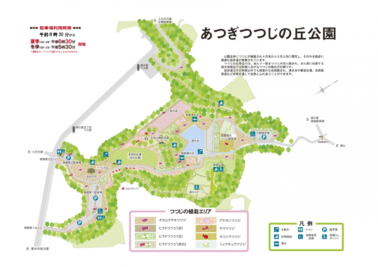 厚木つつじの丘公園2026見頃と混雑回避！5万本の絶景完全ガイド