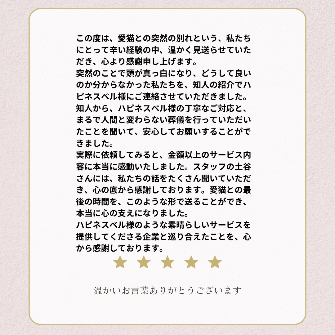 温かいお言葉の真意を徹底解剖｜社交辞令との見分け方と本音を読み解く心理学