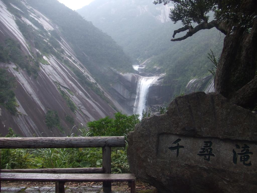 屋久島・千尋の滝の圧倒的スケール！巨大一枚岩と絶景の全貌【2026】
