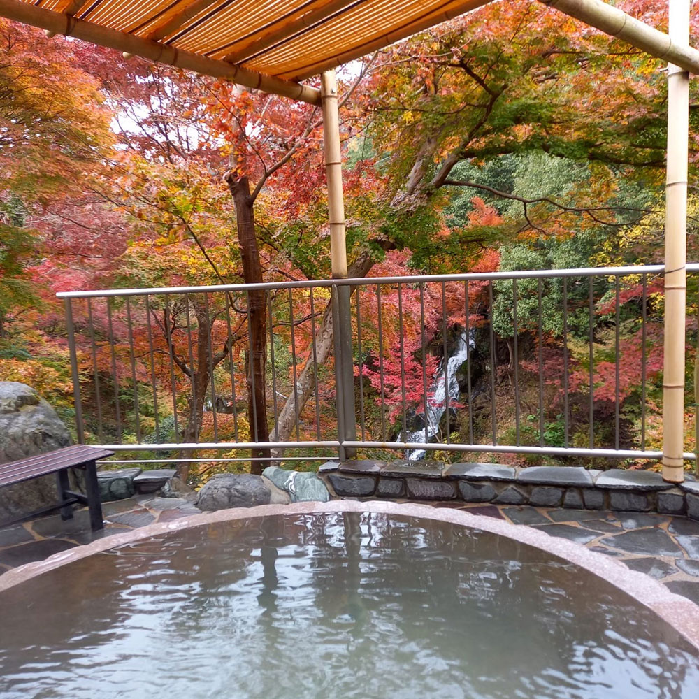 秩父温泉「満願の湯」完全攻略ガイド！絶景露天と混雑回避の極意