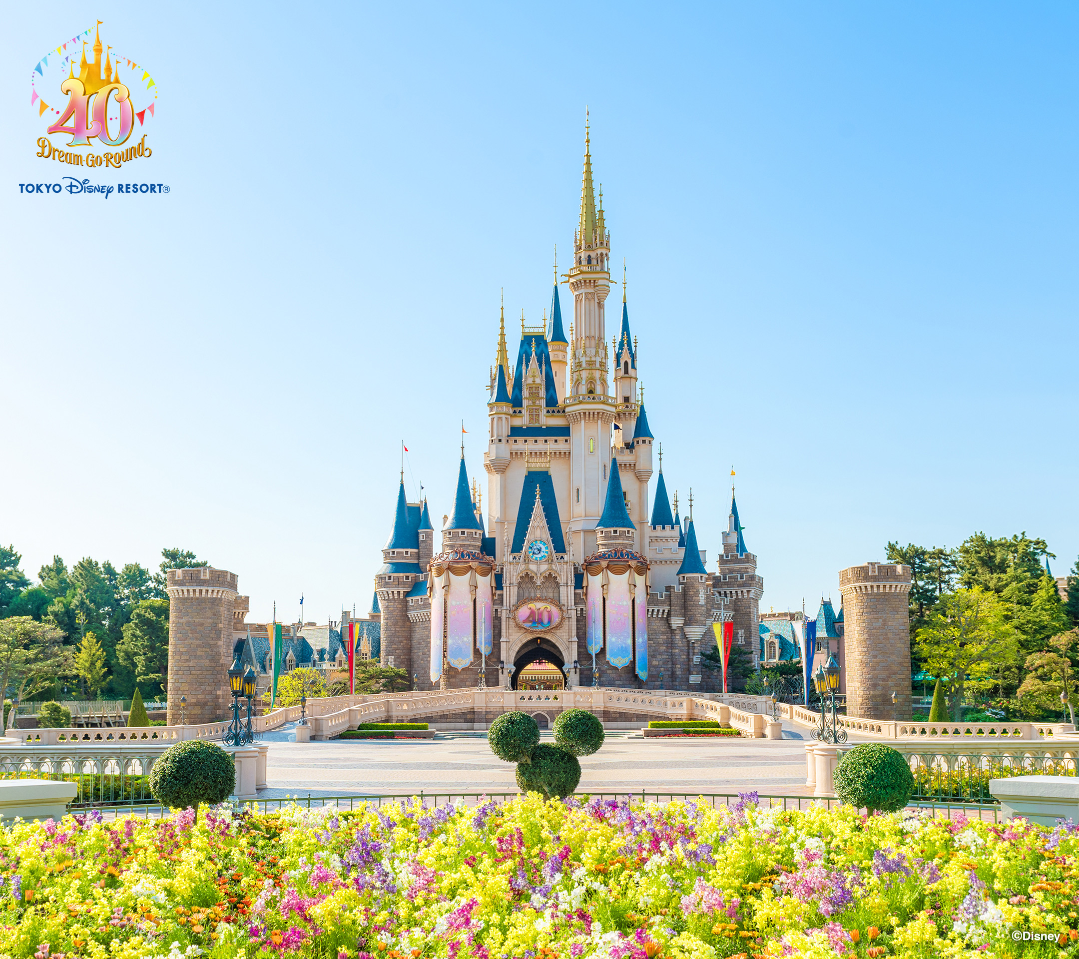 ディズニー誕生日ケーキ2026！ホテル限定の裏ワザと通販・当日予約