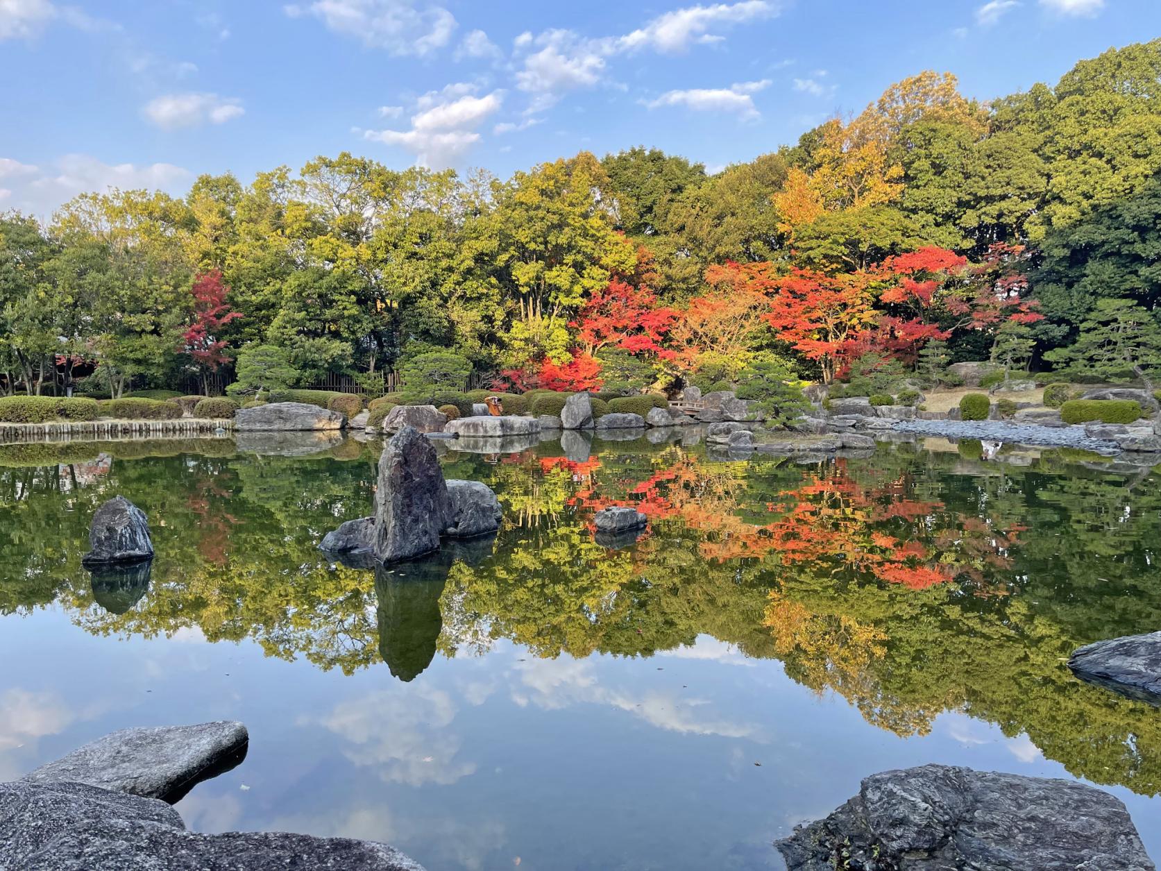 大濠公園日本庭園の魅力徹底解剖｜料金・茶室体験から紅葉前撮りまで