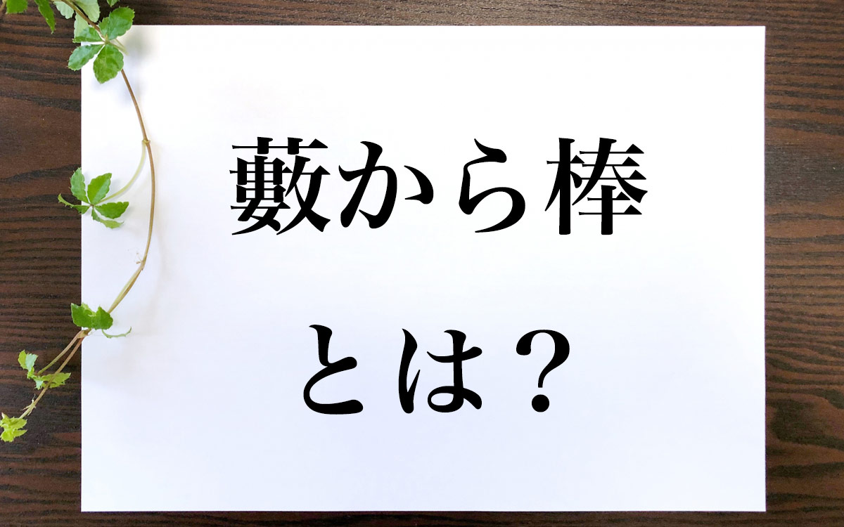 藪から棒の本当の意味と語源とは？ビジネス敬語の言い換えと違いを解説