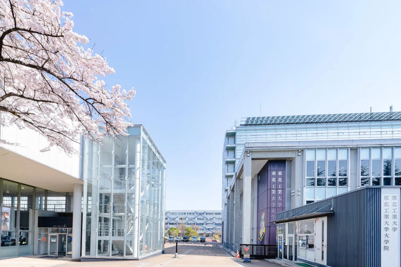 東北工業大学八木山キャンパスの真相！工学・建築の現場と就職力