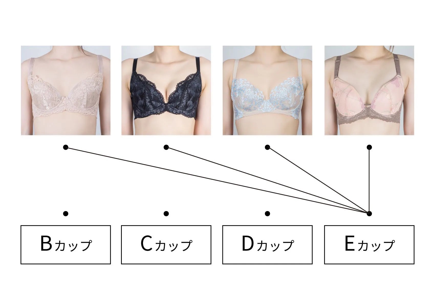 Dカップの胸は意外と小さい？見た目の現実や重さの真実を徹底検証