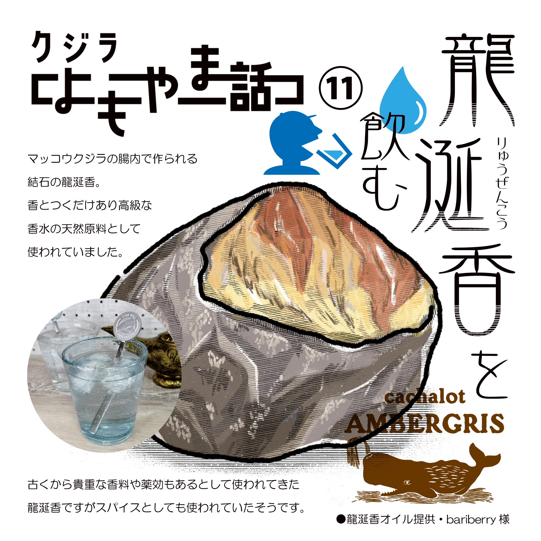 龍涎香で一攫千金は本当か？漂着物の正体と本物の見分け方を徹底検証
