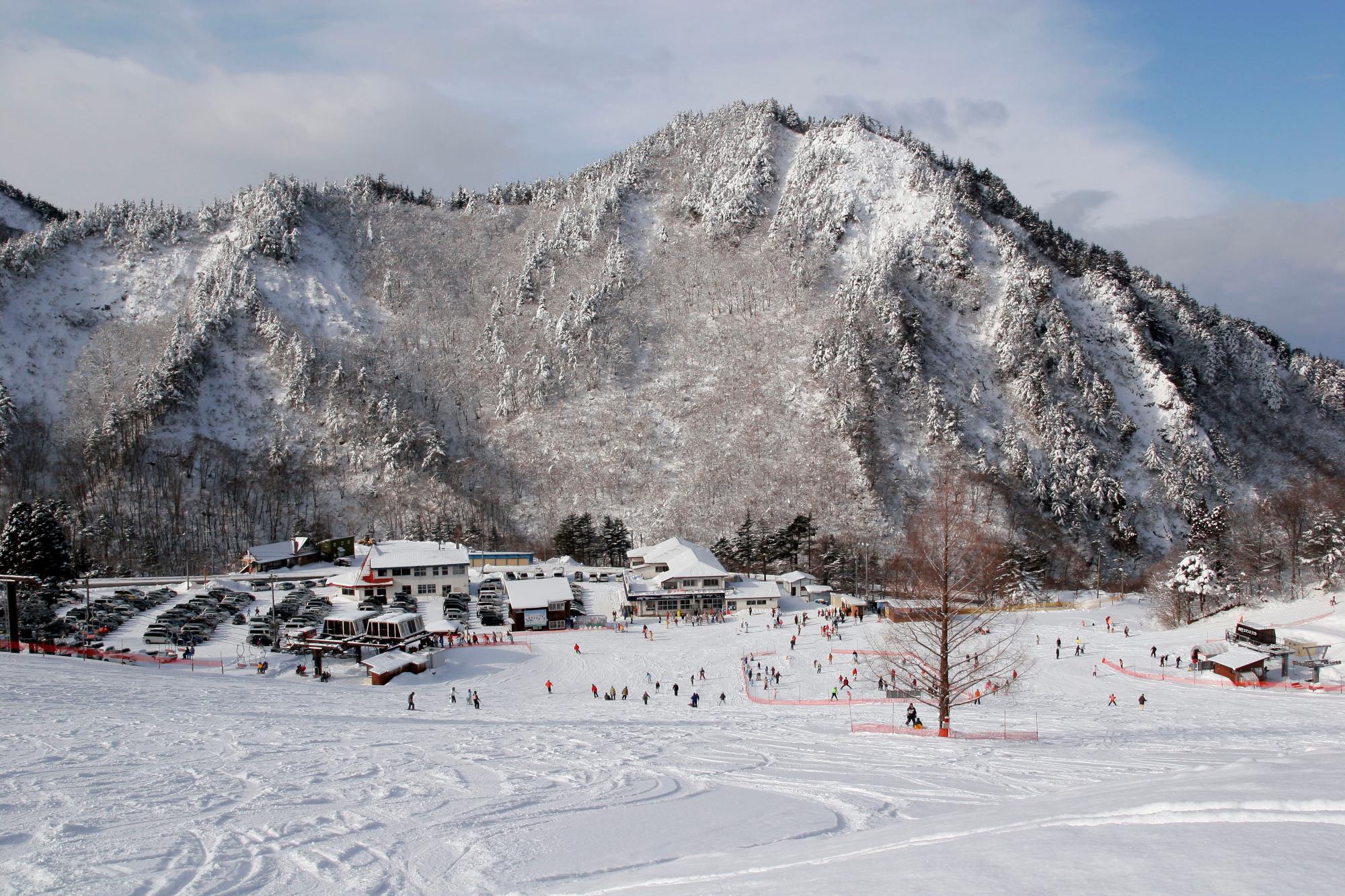 米沢スキー場＆天元台2026！パウダー雪質・割引や混雑を徹底検証