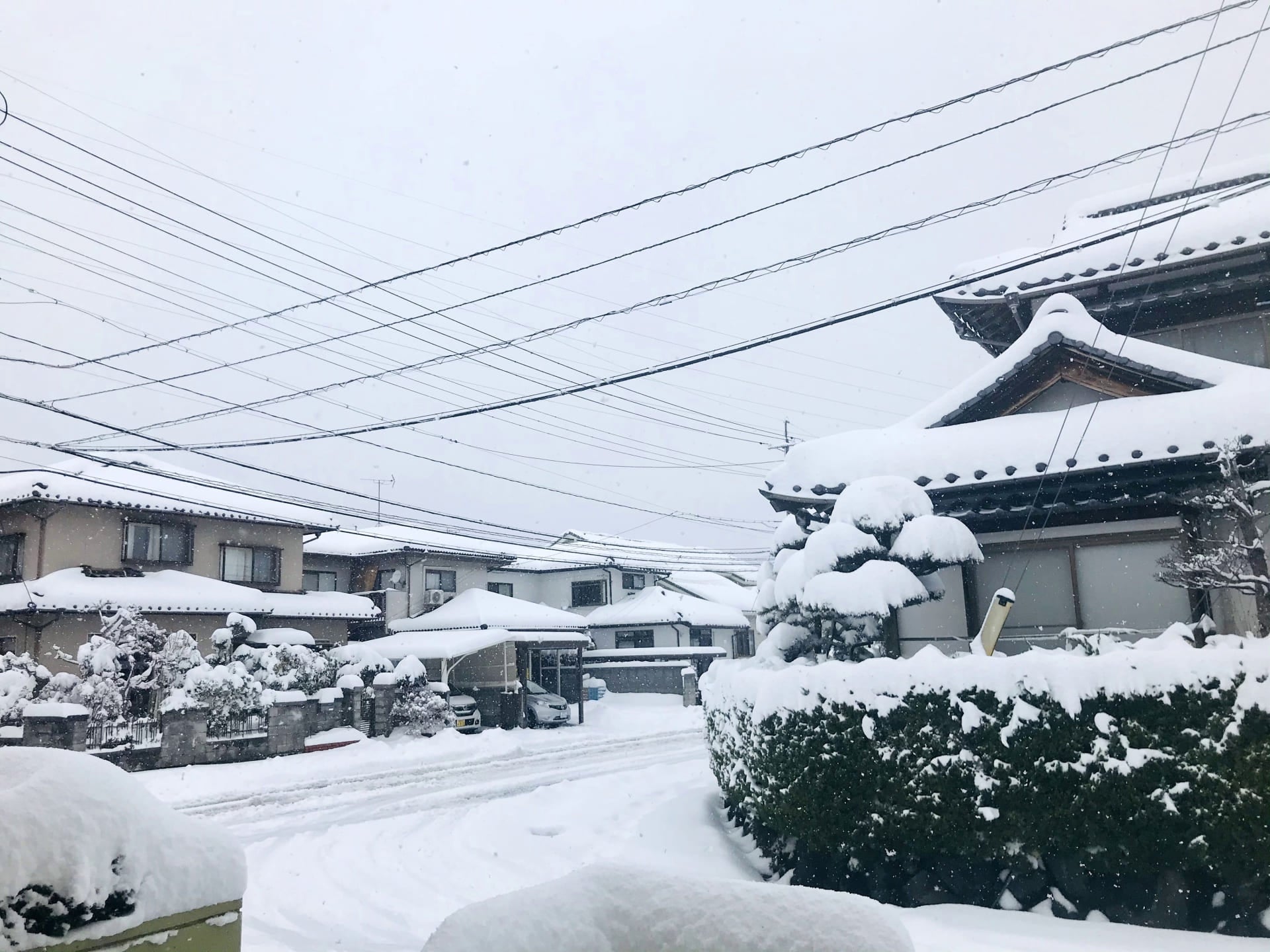 今年の雪は暖冬豪雪どっち？気象庁予報とラニーニャの真相を解明