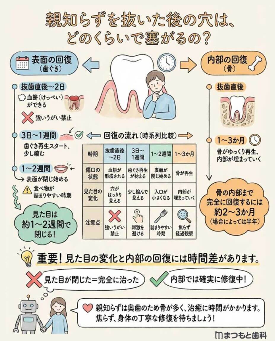 親知らず抜歯後の穴はいつ塞がる？激痛・臭いを防ぐ治癒期間とNg行動
