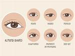Blake Lively's Mesmerizing Almond-Shaped Eyes: a Guide to Her Eye Shape