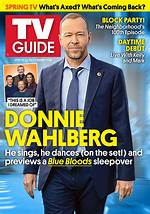 The Ultimate Guide to Donnie Wahlberg of the Backstreet Boys